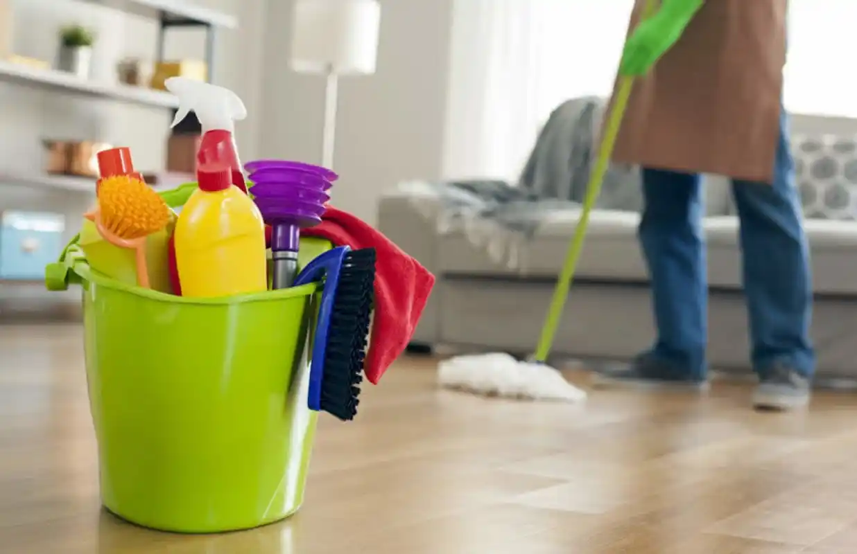 How Can You Start A Carpet and Upholstery Cleaning Service From Home