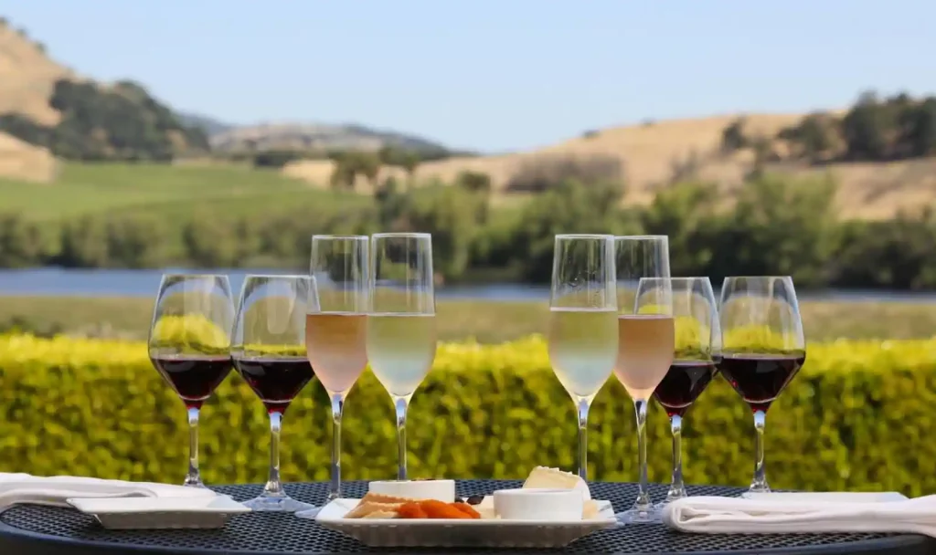 Let Know More About Yarra Valley Wine Tours Industry