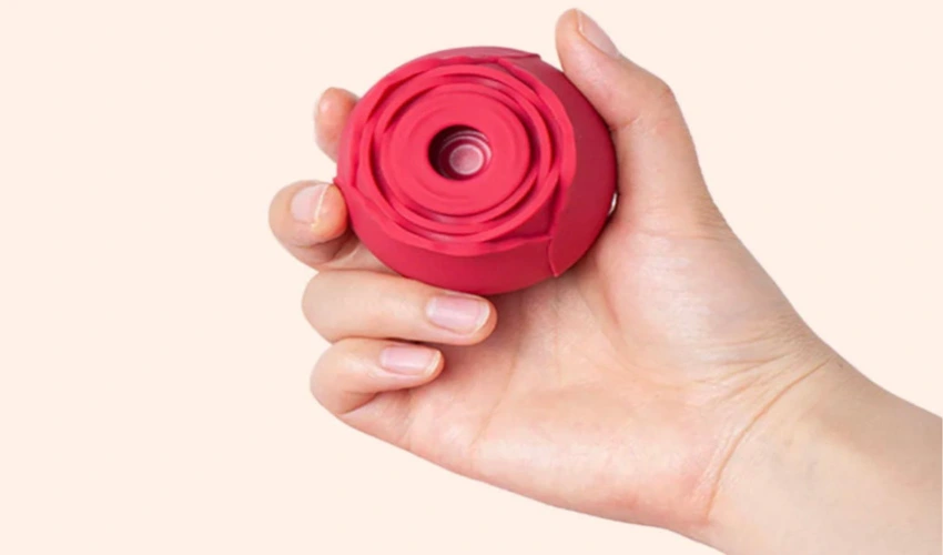 Rose Toy Guide for Beginners